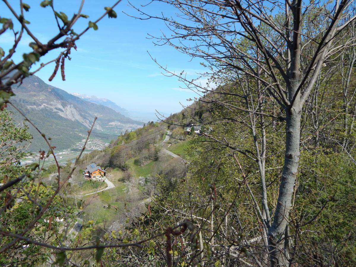 L Ame Et Son Du Coeur Villa Dorenaz Buitenkant foto