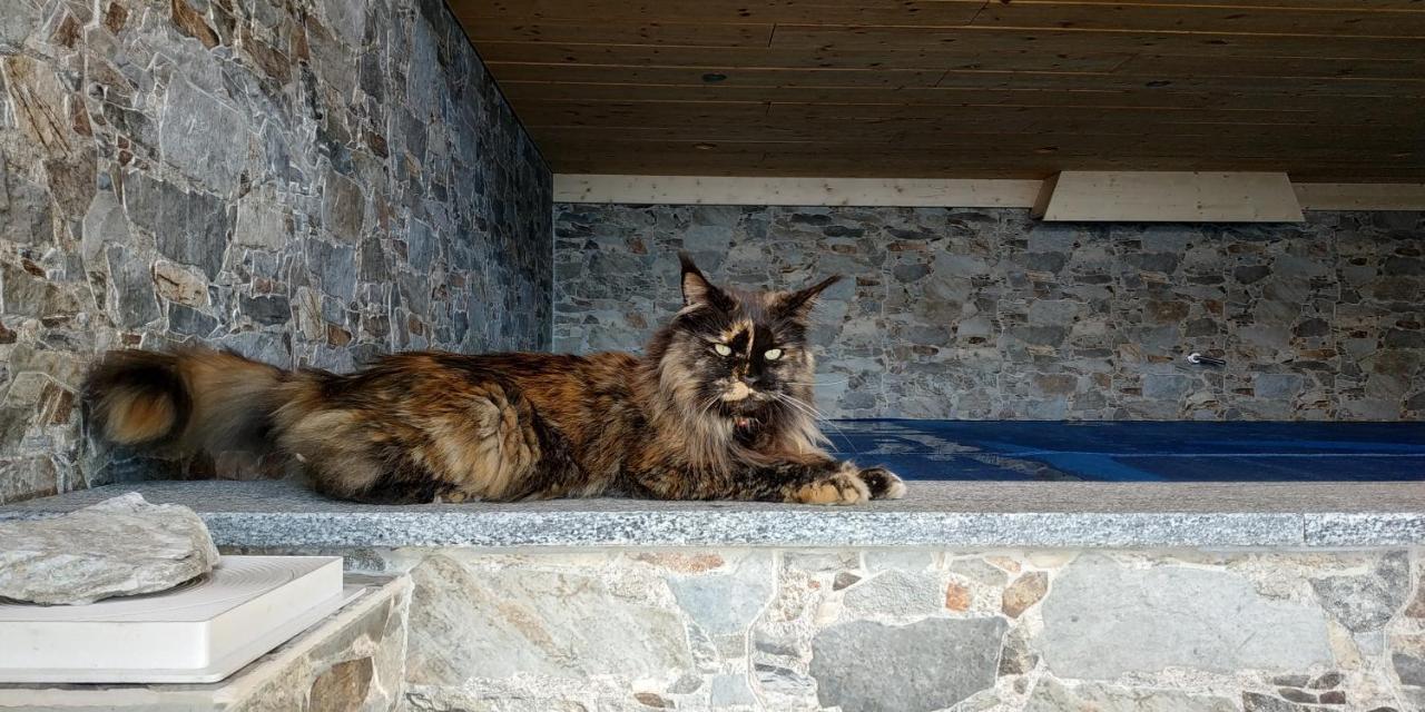 L Ame Et Son Du Coeur Villa Dorenaz Buitenkant foto